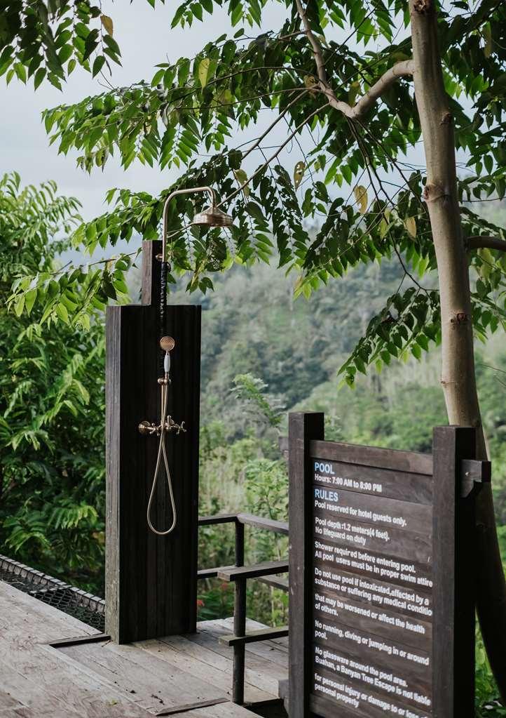 פייאנגאן Buahan, A Banyan Tree Escape מתקנים תמונה